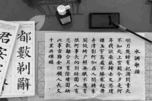 Ideogrammi cinesi scritti su foglio bianco