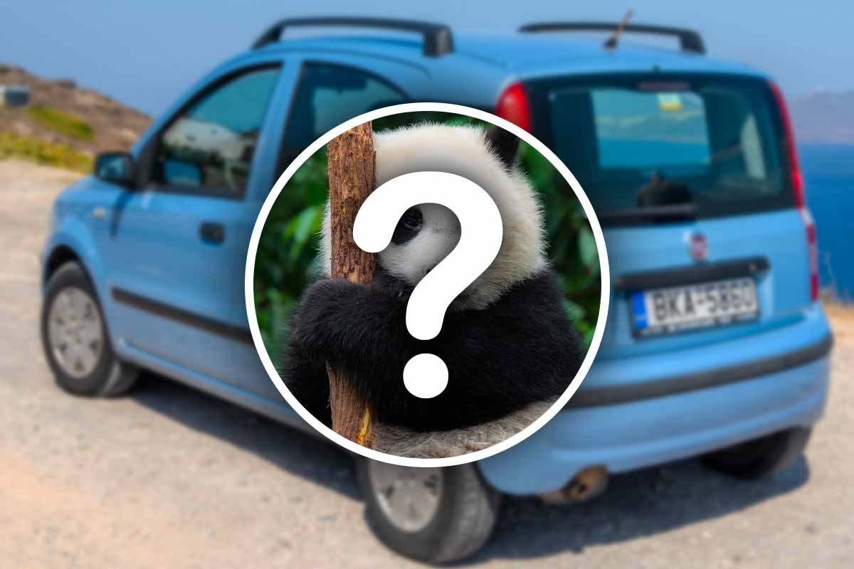 perché la fiat panda si chiama così