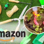 Come arredare il giardino in modo efficace, tutte le novità di Amazon